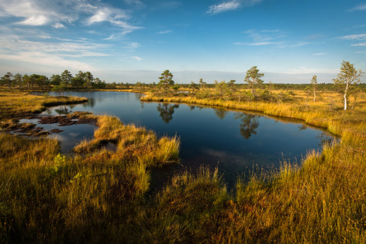 Что посмотреть в Эстонии - Национальный парк Соомаа